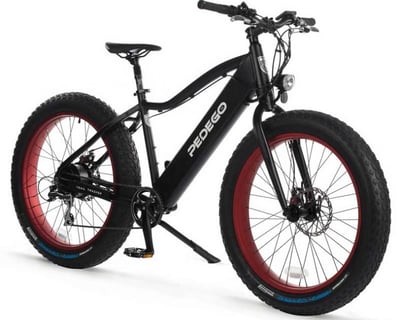 Daily E-Bike Rental in Fernandina Beach