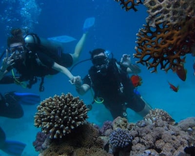 Private Scuba Charter to Icacos Islands