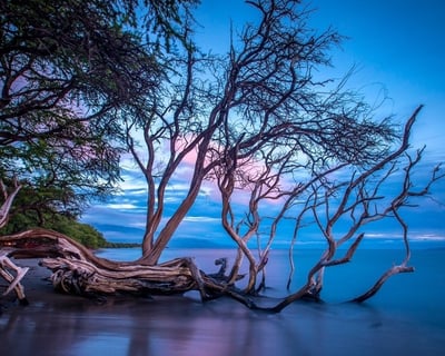 Sunset Photography Hike in Olowalu