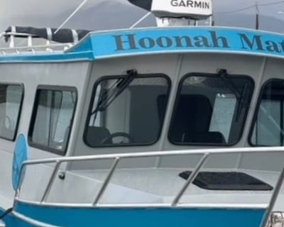 3-Hour Whale Watching Cruise From Icy Strait Point