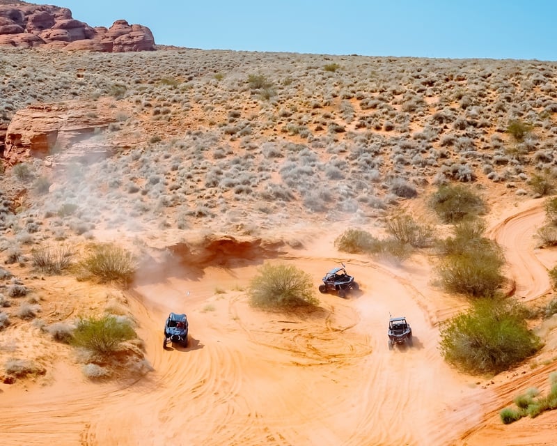 Guided West Rim UTV Tour in Hurricane