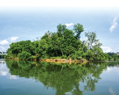 Maclellan Island Eco Tour in Chattanooga