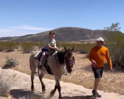Guided Pony Ride for Kids in Joshua Tree
