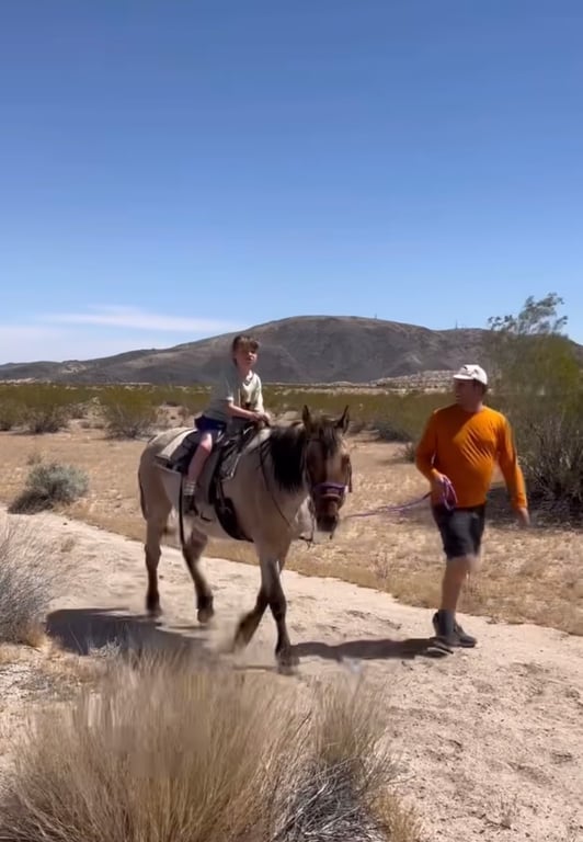 Guided Pony Ride for Kids in Joshua Tree