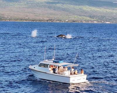 6-Hour Fishing & Snorkeling Charter in Ma'alaea