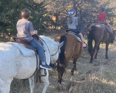 10-Minute Pony Ride