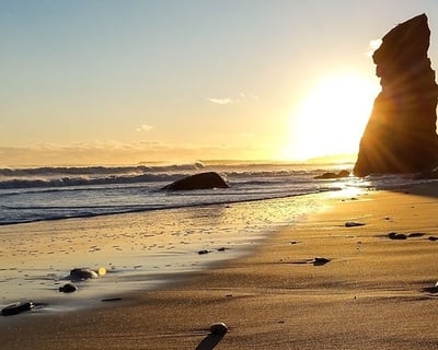 Martha's Vineyard Sunset Tour with Dinner