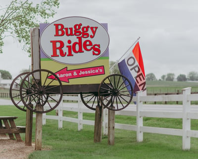 Amish Country Carriage Tour in Bird in Hand
