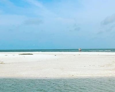 Shelling Charter at Little Hickory Island