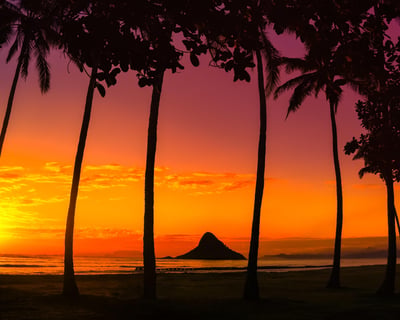 Oahu Circle Island Snorkeling Tour