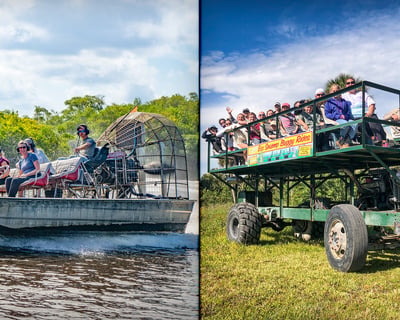 Private Mangrove & Swamp Buggy Tour in Everglades City