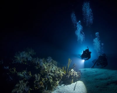 3-Hour Guided Night Reef Dive In Honolulu