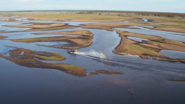 One Hour Airboat Eco Tour