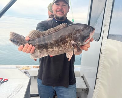 Indian River Shark & Inshore Fishing Charter
