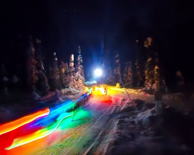 Moonlit Dog Sled Tour in Willow