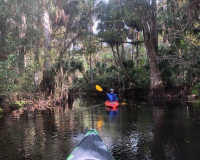 Private Guided Kayak Tour on Loxahatchee River