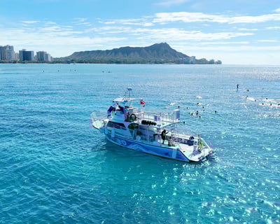 Island Breeze Private Cruise with Snorkel Option