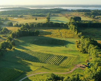Grindstone Island Winery Shuttle Ride