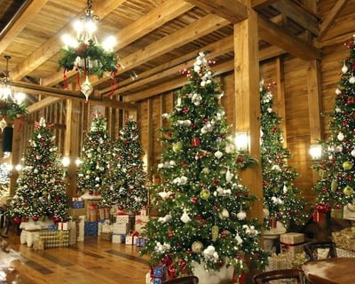 Elizabethtown Christmas Dinner & Live Show