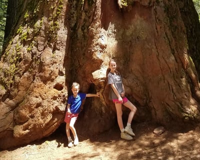Private 10-Hour Yosemite Hiking & Sightseeing Tour