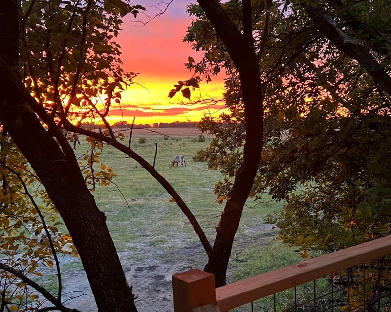 Guided Sunset Horseback Trail Ride in Sedgwick, KS