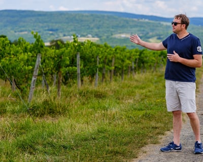 Guided Vineyard Hike & Wine Tasting in Watkins Glen