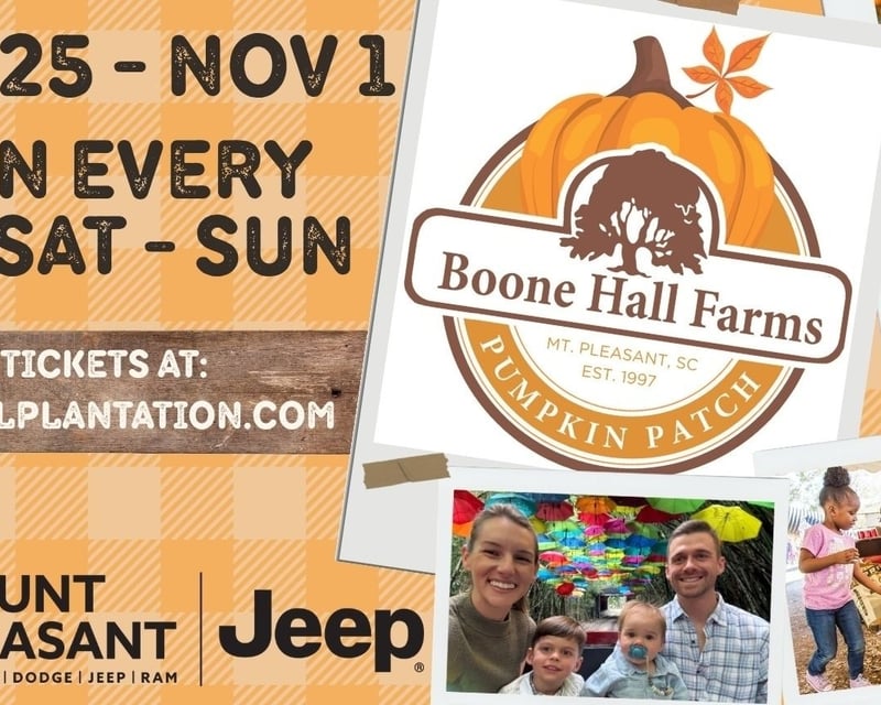 Boone Hall Pumpkin Patch & Corn Maze in Mount Pleasant