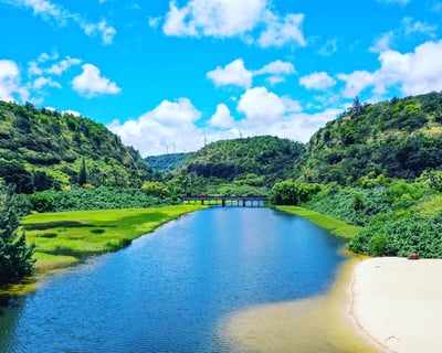 Direct Waikiki Shuttle to Waimea Valley & Haleiwa