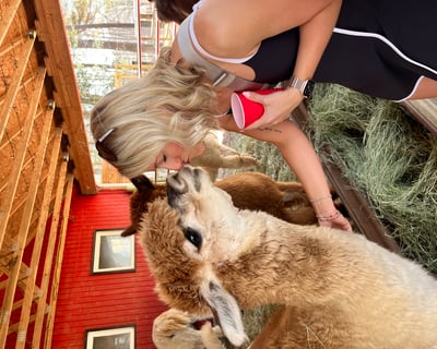 Morning Animal Feeding Experience in Snellville