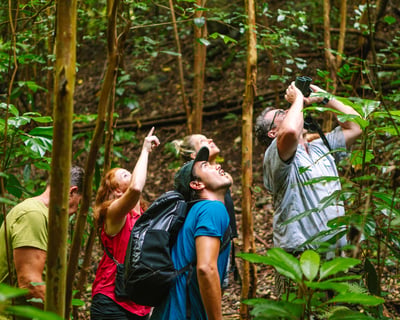 Birdwatch Hakalau Forest National Wildlife Refuge