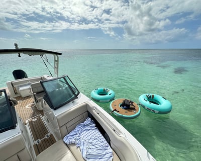 Cruise a Sandbar for 5 Hours on a Boston Whaler