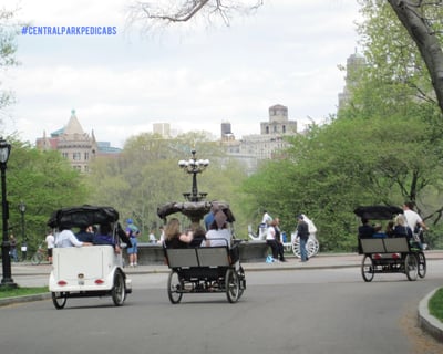 2-Hour Central Park Pedicab Guided Tour