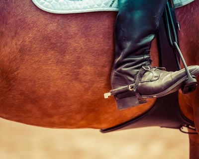 1-Hour Beginner Horseback Ride in Almont