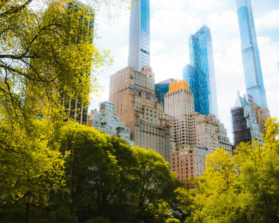 Central Park Couples Photography Walking Tour