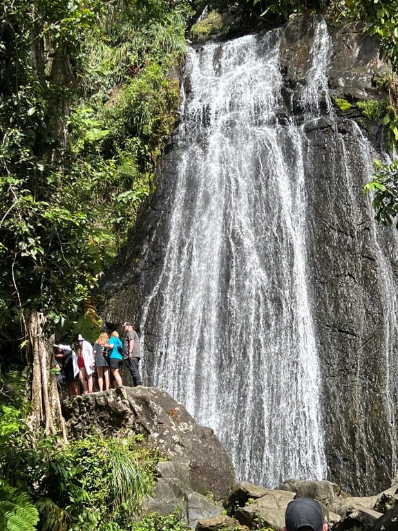 El Yunque Rainforest Guided Tour