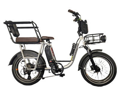 Electric Bike With Passenger Seat Rental