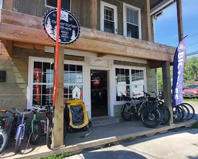 Marlinton Full-Day E-Bike Rental