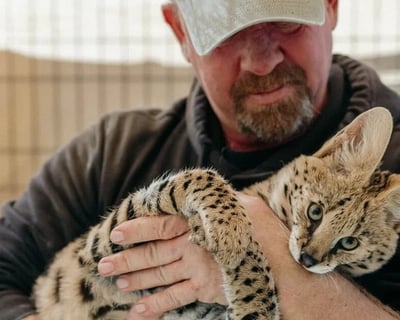 Wildlife Tour in Mountain Home With 2 Encounters