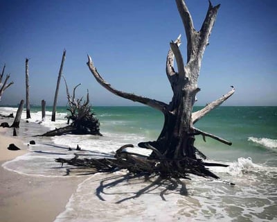 Lovers Key Charter