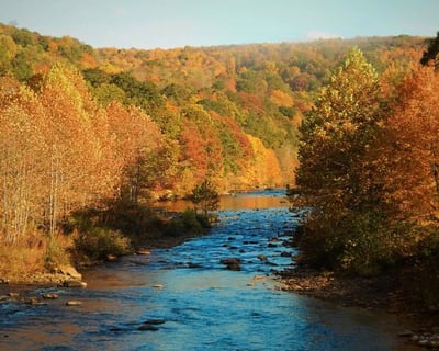 Guided Lehigh River Trout Fishing