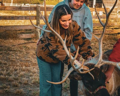 Reindeer Encounter in Bowling Green