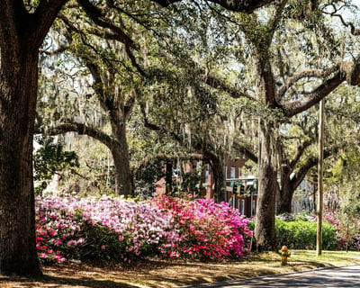 Haunted Donut & Sweet Treats Walking Tour in Savannah