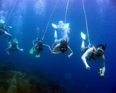 Huka Dive Reef Adventure in Venice, Florida