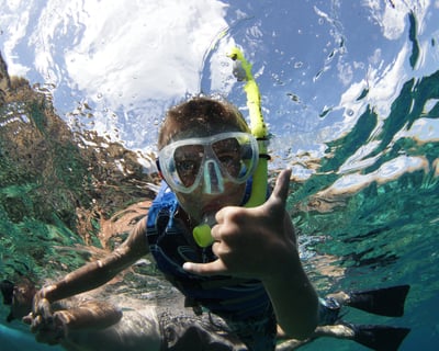 Snorkel & Sunset Sail Cruise in Maui