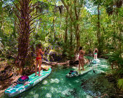 Guided Rainbow Springs Kayak Tour with Naturalist