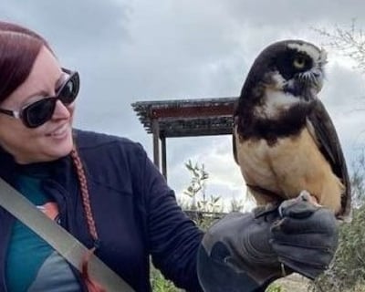 90-Minute Owl Handling Experience in Escondido