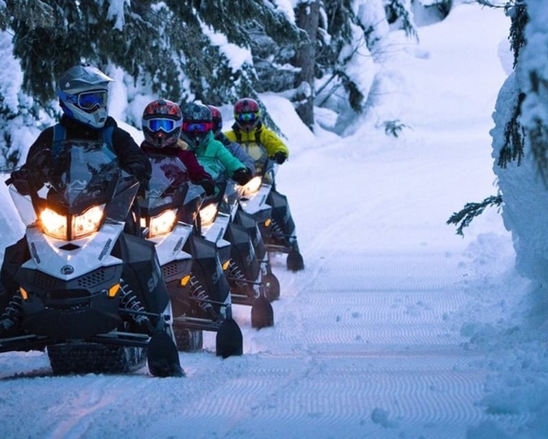 2-Hour Snowmobile Rental in Ronald