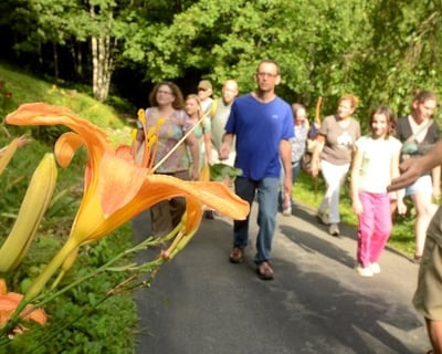 Explore Wild Foods On A Guided Stroll In Asheville