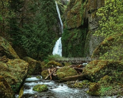 3-Hour Columbia River Gorge Waterfalls & Herb Hike