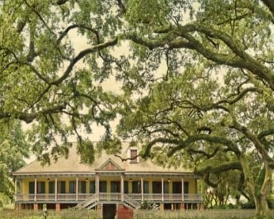 Laura Plantation Tour with Roundtrip Transportation